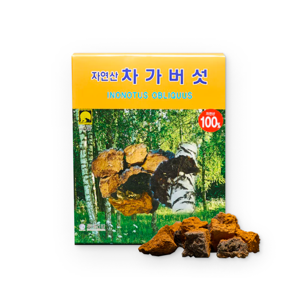 Chaga Mushroom