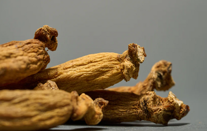 Premium 6-Year-Old Korean Red Ginseng Roots – 300g